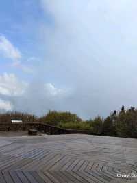 จุดชมวิว Zhushan Station Mt.Okasawara Alishan