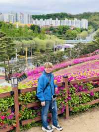 Celebrates the Breathtaking Bloom of Royal Azaleas Flowers