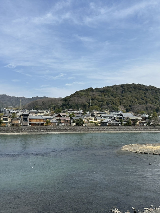 關西3日冒險旅程｜抹茶宇治 × 環球影城 × 京都櫻花
