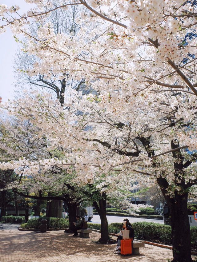 🌸 Tokyo’s Hibiya Park & Nakano Dori: A Spring Poem Through the Lens 📸