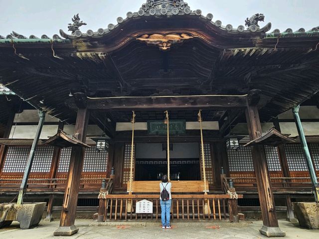 泉佐野~在關西機場附近，為何是不容錯過的小漁港？