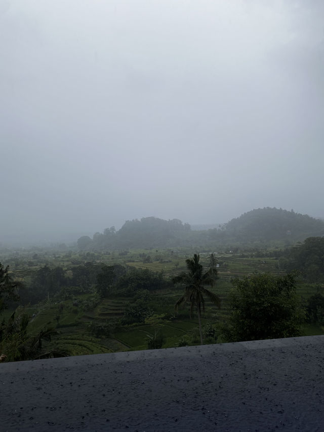 【インドネシア🇮🇩バリ島】絶景カランガセムのホテル