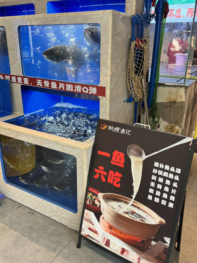 千島湖胖頭魚🐟 現點現殺現做｜保持最佳口感😋