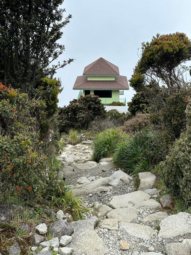 What you might wanna know before climbing Mount Kinabalu