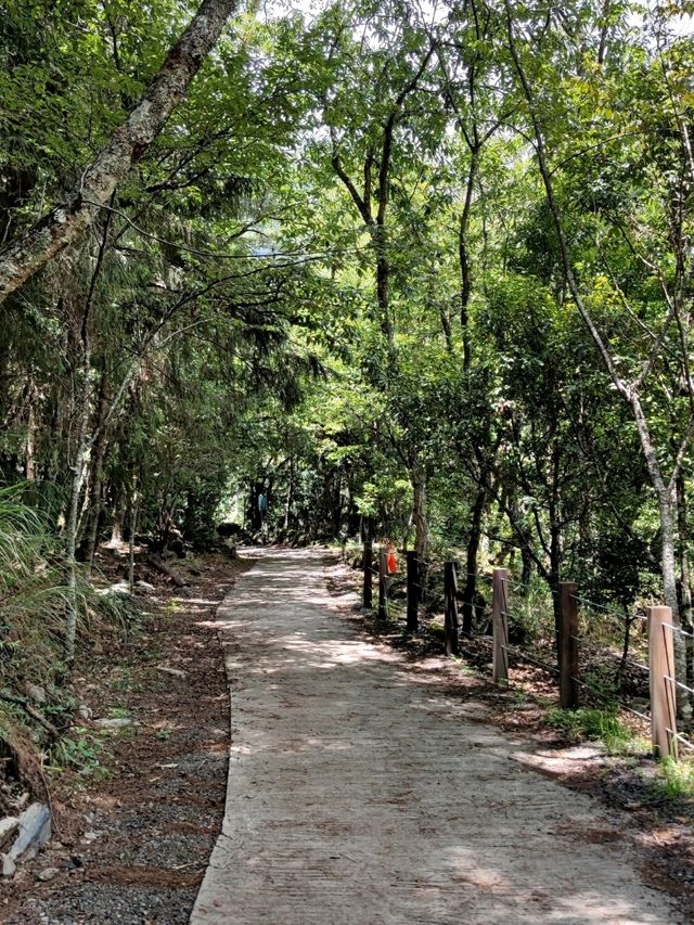 #武陵國家森林遊樂區-臺中區和平區