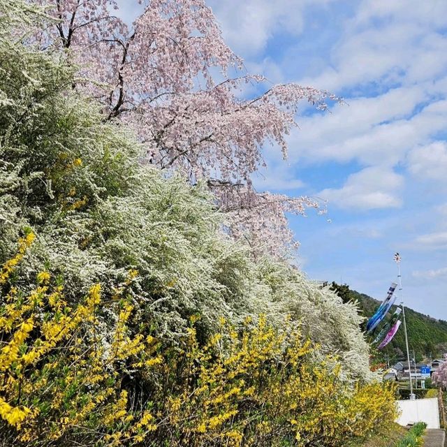3色混ざったこの景色が美しい