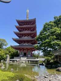 【日本🇯🇵】玉名　赤ちゃん土俵入り