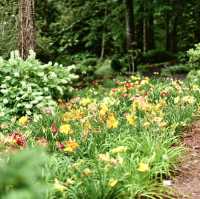 Peaceful Green Escapes to Explore in Birmingham 