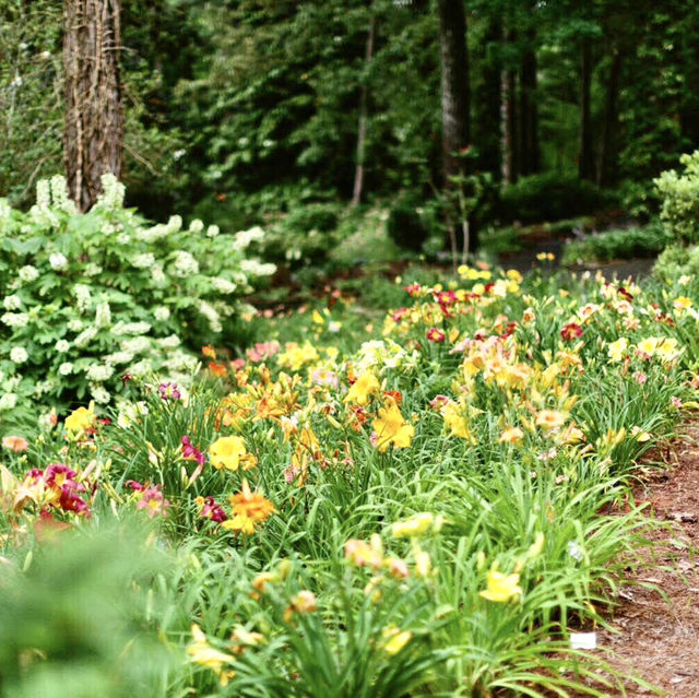 Peaceful Green Escapes to Explore in Birmingham 