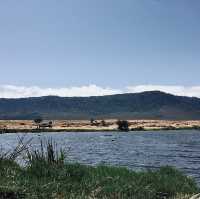 在野生動物中啜飲咖啡-Ngoitokitok Picnic Area