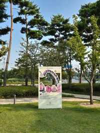 인천 파라다이스시티 산책코스🤗