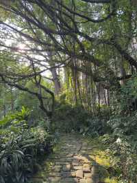 台北｜花博公園與台北植物園一日遊