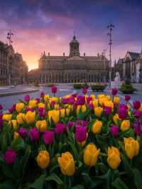 This is one of the iconic tourist spot in Amesterdam, Always busy regardless if it is day or night