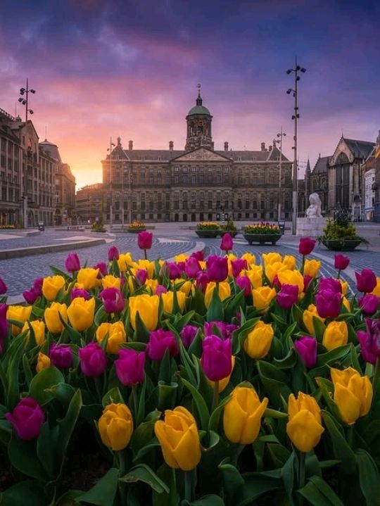 This is one of the iconic tourist spot in Amesterdam, Always busy regardless if it is day or night