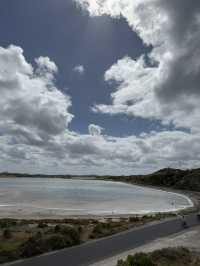 澳洲珀斯必去一日遊景點-羅特尼斯島（Rottnest Island）