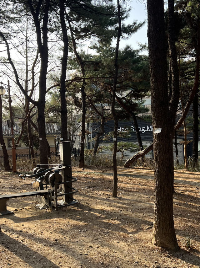 🌳 รีวิวสวนโดซาน (도산공원)