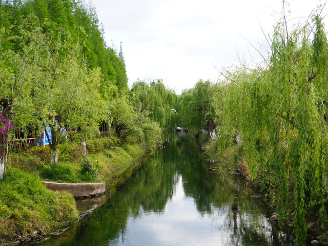 Haidong Wetland Park 