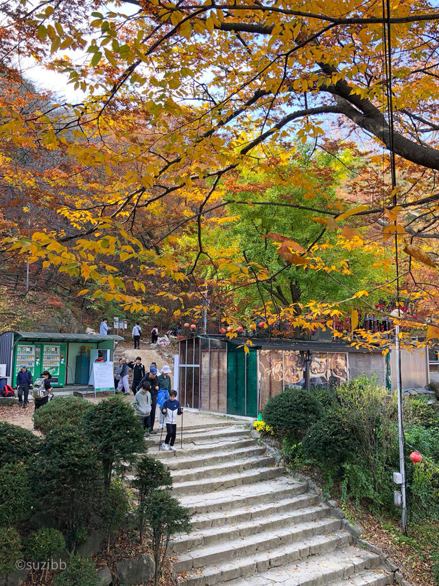날씨가 좋을땐 뭐다~? 등산이다! 산의 매력을 느끼고 싶다면 이곳으로!