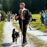 A Celebration of Alpine Tradition: My Day at the Alpabfahrt in Switzerland