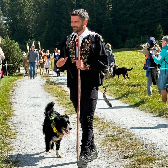 A Celebration of Alpine Tradition: My Day at the Alpabfahrt in Switzerland