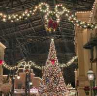 この時期は必ず行ってほしいディズニー🎄
