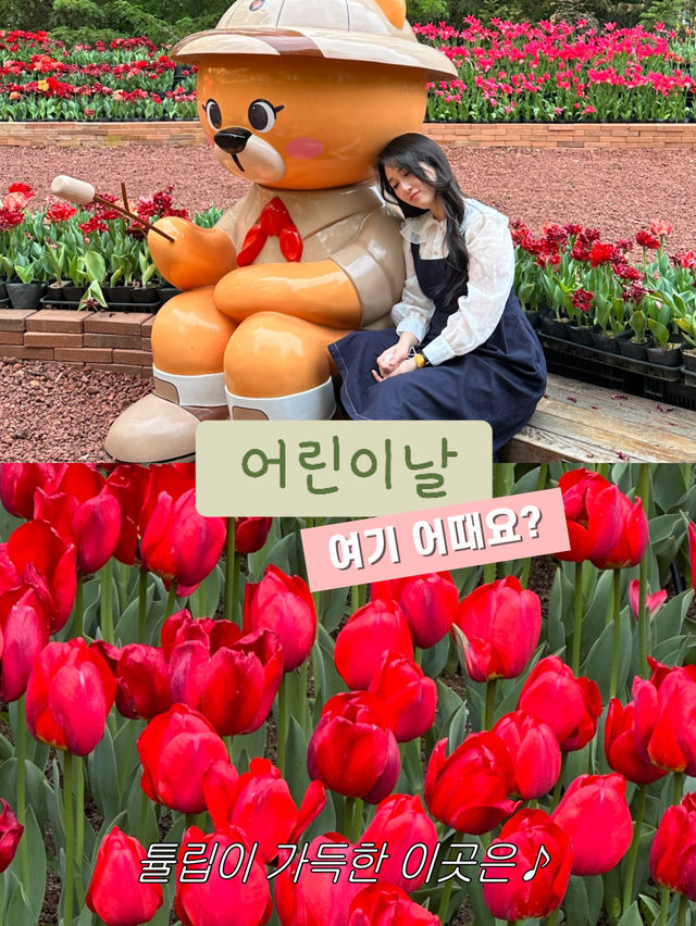 튤립 가득한 대구 핫플