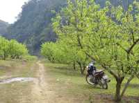"Ha Giang loop" concept but for Introverts & quiet souls