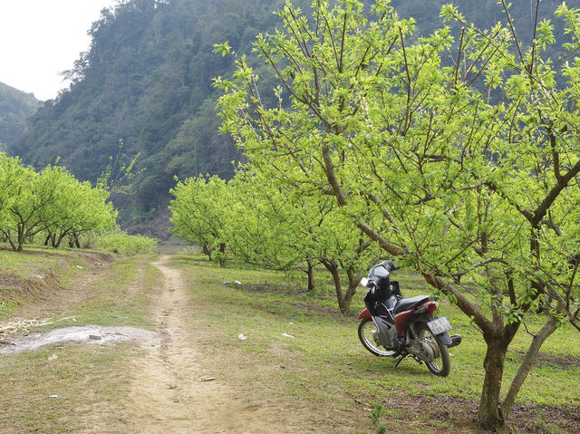 "Ha Giang loop" concept but for Introverts & quiet souls