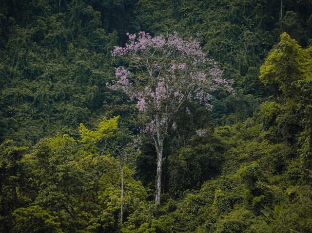 Phượt A Lưới- Quảng Trị.