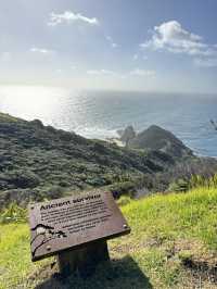 Tip of the North