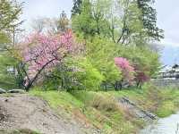 How to Get from Tokyo to Hakuba