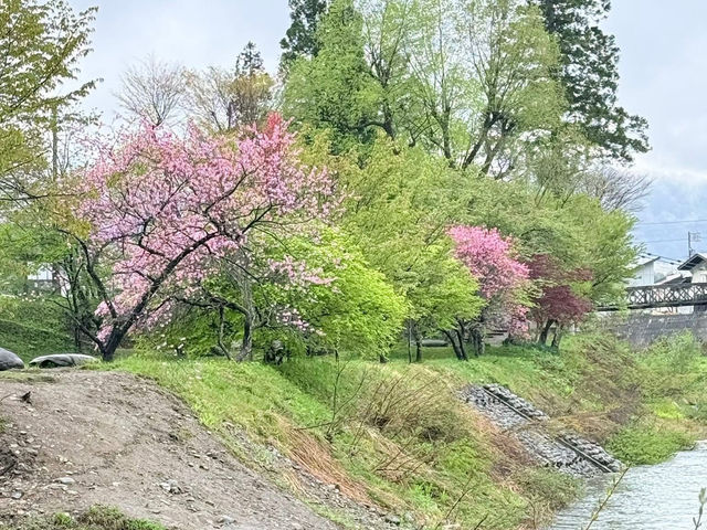 How to Get from Tokyo to Hakuba