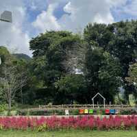 Songkhla Flower Farm สวนดอกไม้แห่งแรกในสงขลา