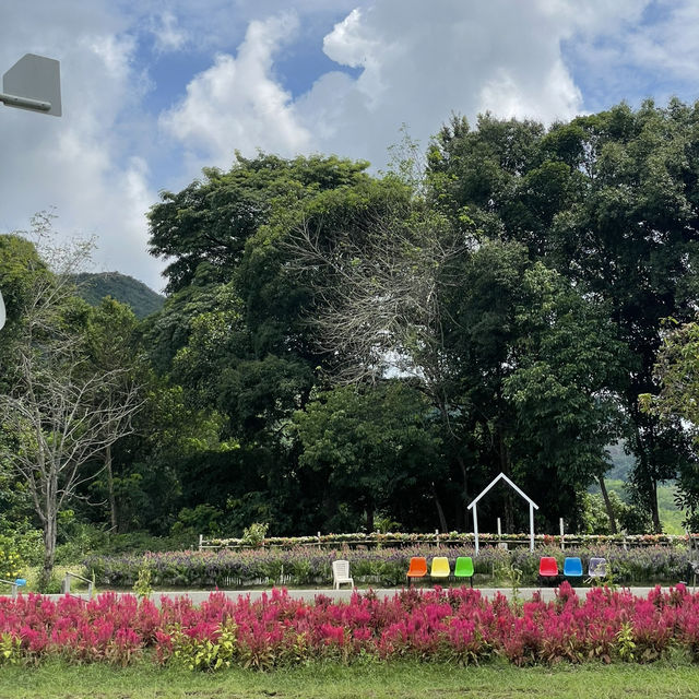 Songkhla Flower Farm สวนดอกไม้แห่งแรกในสงขลา