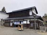 “Where Petals Meet the Sea: The Timeless Bloom of Matsumae”