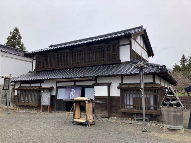 “Where Petals Meet the Sea: The Timeless Bloom of Matsumae”