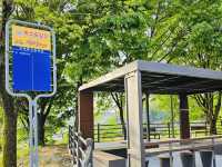 Seongbukdong Forest Bathing Area