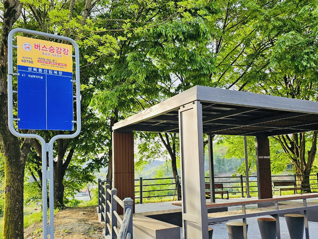Seongbukdong Forest Bathing Area