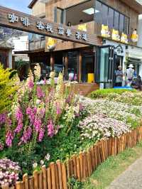 SPRINGTIME CHARM AT ERHAI LAKE, DALI