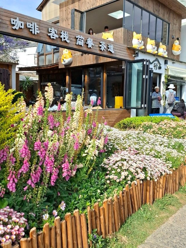 SPRINGTIME CHARM AT ERHAI LAKE, DALI