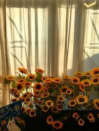 🌻คาเฟ่สุดน่ารัก ฮีลใจย่านจรัญฯ🌻
