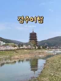 역사와 자연을 한번에 체험할 수 있는 경주여행🇰🇷🥢🌱🍀