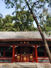春遊：頤和園的春意