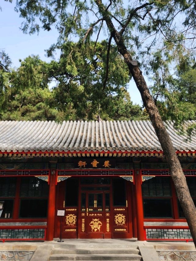 春遊：頤和園的春意
