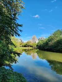 A Tranquil Escape: Daan Park, Taipei 