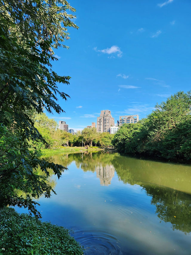 A Tranquil Escape: Daan Park, Taipei 