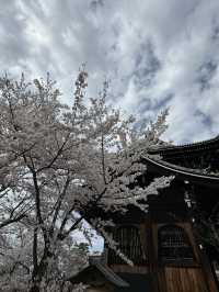 大阪京阪本線｜歷史與現代的藍色文化之旅