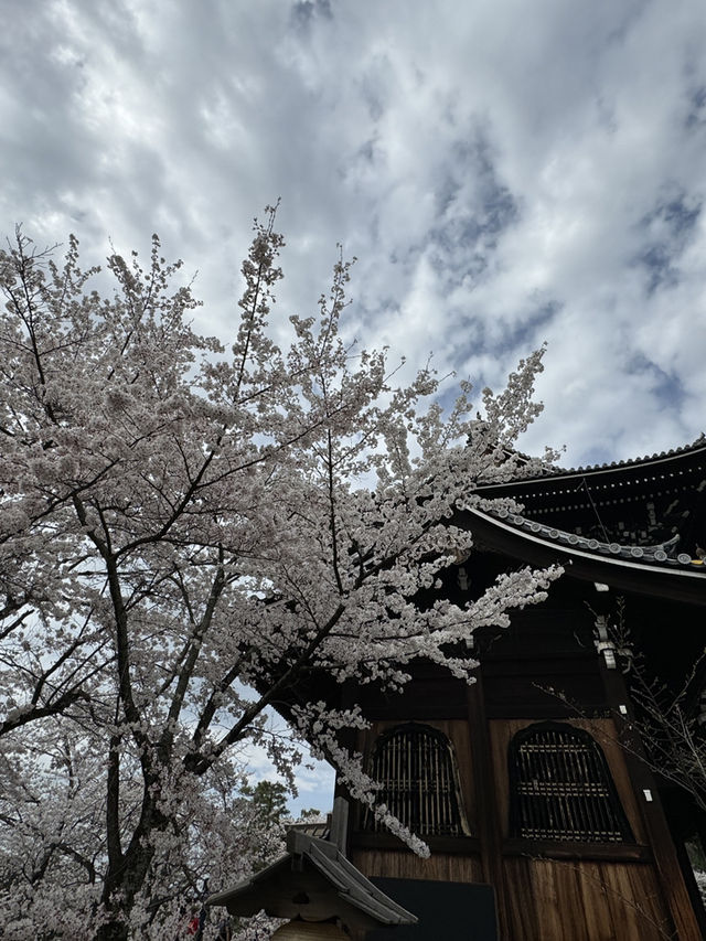 大阪京阪本線｜歷史與現代的藍色文化之旅