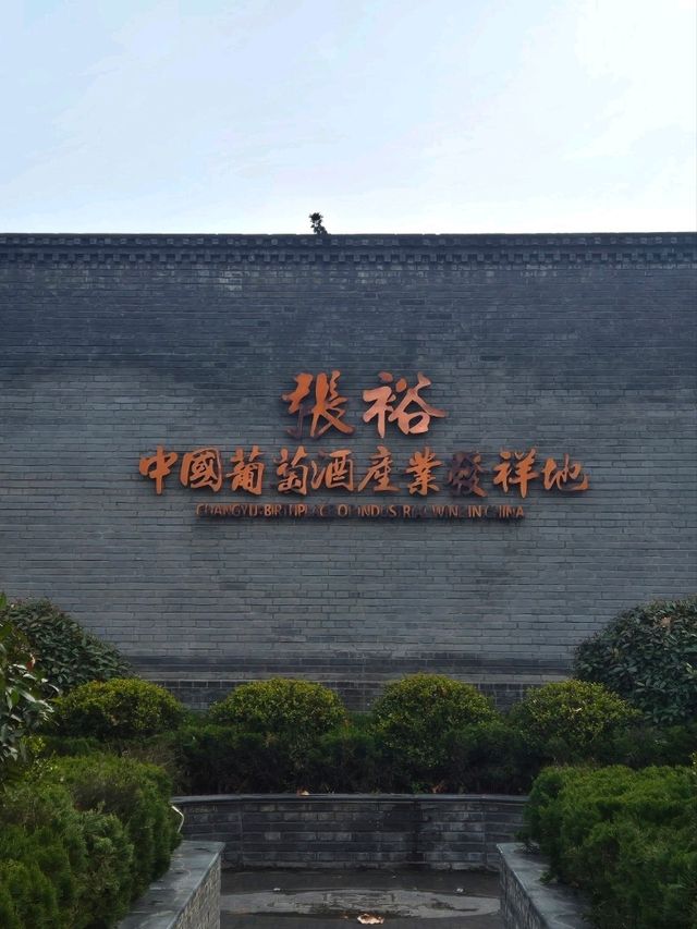 중국 연태 여행 : 장위 술 문화 박물관🇨🇳