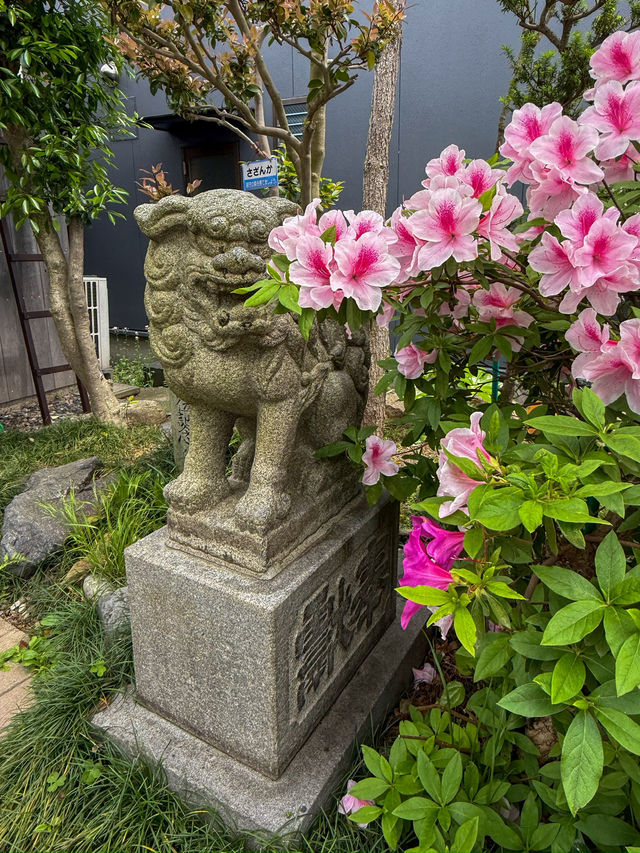 【敦賀】ここにもあったの？！晴明神社